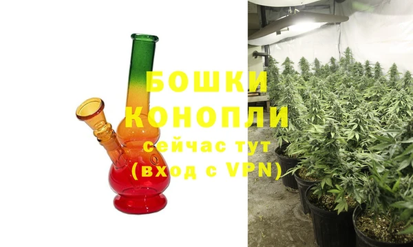 индика Балахна